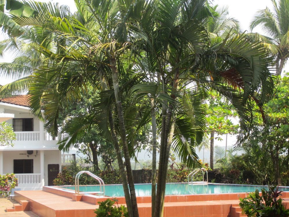 Hotel Riverside Baga Εξωτερικό φωτογραφία